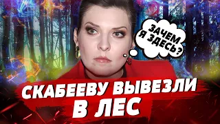 Скабееву увезли в лес, ВСУ собирает десятки пленных, Лукашенко показал ядерку | БЕСПОДОБНЫЙ