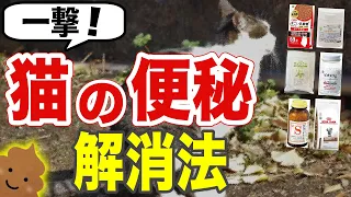 【一撃】猫の便秘解消法を獣医師が解説します｜おすすめのサプリ＆キャットフードを紹介