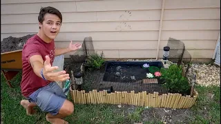 The MINI Backyard TURTLE POND!!!