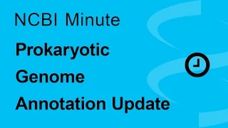 The NCBI Minute: Prokaryotic Genome Annotation Update