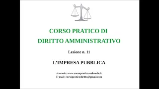 11.  L'IMPRESA PUBBLICA