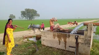 Traditional Village Life Pakistan In Winter | Unseen Culture | Stunning Pakistan