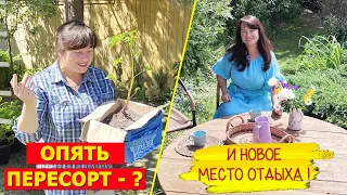 ПЕРЕСОРТ с ВАЙЛДБЕРРИЗ! Вы были правы! И новое МЕСТО ОТДЫХА вместо КОЛОДЦА!