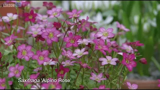 Gardeners World 2021 Episode 03 ~Easter Special