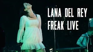 Lana Del Rey singing Freak at Ohana Festival live on August 28th 2016. 8/28/16