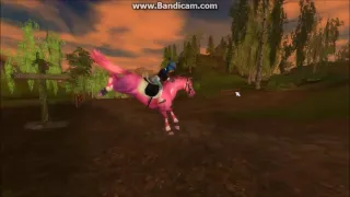 Pink fluffy Unicorn / Sso/ MUsikvideo