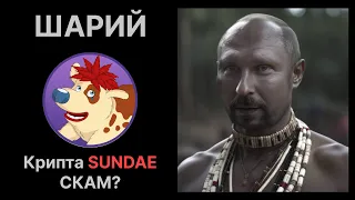 ШАРИЙ КРИПТА SUNDAE СКАМ? #домбровский #шарий #sundae  #одиссей