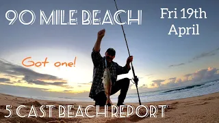 90 Mile Beach. 5 Cast Beach Report +1.. Fri 19th April