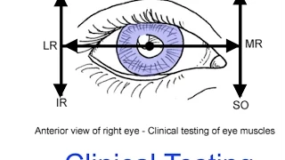 Clinical testing extraocular muscles tutorial