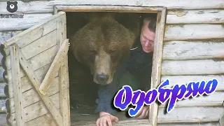 Приёмка модернизированной избушки🐻🛠