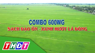 VFC Cánh đồng hội nhập 2024 kỳ 9 | Combo 600WG - Sạch đạo ôn - Xanh mướt lá đòng | THDT