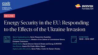 Energy Security in the EU:  Responding to the Effects of the Ukraine Invasion