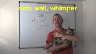 Learn English: Daily Easy English Expression 0533: sob VS wail VS whimper