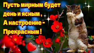 💗🌞🌷Доброго утра благословенного дня!💓🎵Красивое музыкальное пожелание мира, любви, счастья, здоровья🌺