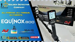 The Minelab Equinox 800 Metal Detector | Multi Frequency