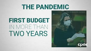 Budget 2021: The pandemic