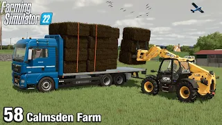 LOADING THE FLATBED WITH SILAGE - Farming Simulator 22 FS22 Calmsden Farm Ep 58