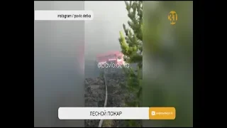 В Павлодарской области горел национальный парк Баянаул