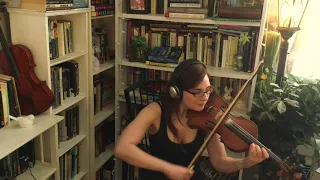 December Elegy - Tristania Violin Cover