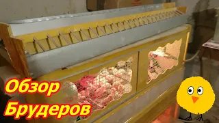 Обзор брудеров