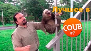 Лучшие приколы в COUB за март 2016 #7 Крик души