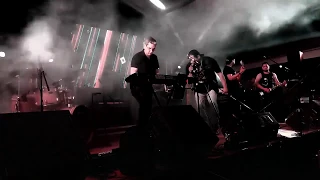 The Black Dogs  -  Lontras Fest  (En vivo)