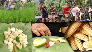 first time family vlog || taking my whole family to paddy field || enjoying their summer vacation.