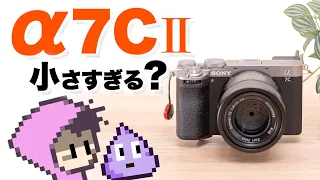 SONY α7CII 良くも悪くも小さ過ぎるミラーレス一眼カメラ買いました。ILCE-7CM2