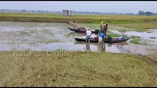 The method of fishing in the villages of Bangladesh with boats and nets ||  Amazing Cutting Skills