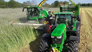 Roggen mähen & häckseln mit Feldhäcksler & Traktoren grass harvest Getreideernte 2023 Landwirtschaft