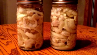 How to Pickle Northern Pike!! The best pickled fish!!