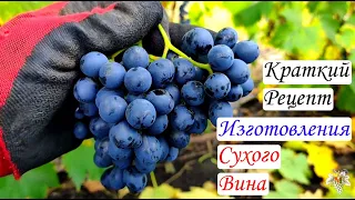 Краткий рецепт изготовления сухого вина из винограда «Ливадийский Чёрный» и «Антей Магарача»