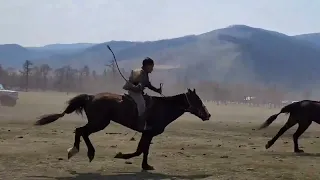 Невероятное зрелище, конные скачки в Монголии
