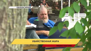 В Канаде из-за аномальной жары гибнут люди