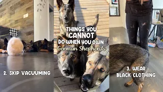 Things You Can't Do When You Own A German Shepherd