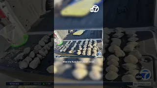 Fresno woman fined $88K after kids unknowingly collected clams from Pismo Beach