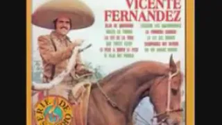 Uno vale según lo que tiene vicente fernández