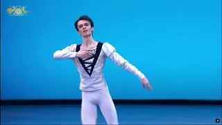 Dmitry Smilevsky (Russia) - Siegfried Variation | XIV Moscow Ballet Competition, Senior Round 3