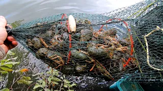 Как Ловится Рак на Китайские Раколовки!  Рыбалка на РАКОВ!!