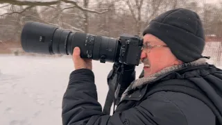 Секреты удачной фотоохоты: изучить повадки птиц и зверей, выбрать необычную погоду и почаще гулять