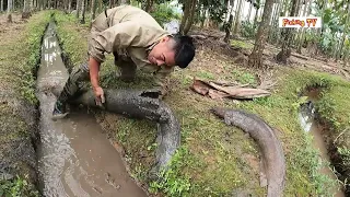 Giant Electric Eel Attacks Young Man | Fishing TV