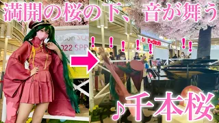 【ストリートピアノ】満開の桜の下、初音ミクが舞う「千本桜」 黒うさP feat.初音ミク Senbonzakura Cosplay Piano Performance 【弾いてみた】