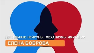 Зеркальные нейроны: механизмы имитации, эмпатии и речи (Елена Боброва)