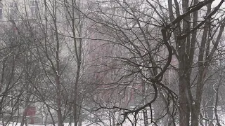 Залипательное видео снегопада