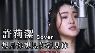 許莉潔ZJ Hsu【想見你想見你想見你 Miss You 3000】Cover 八三夭 831電視劇「想見你상견니」片尾曲 Official Music Video