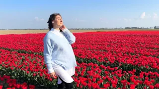 Is this the new Keukenhof?🌷 tulips in Netherlands private experience | TRAVEL VLOG IV