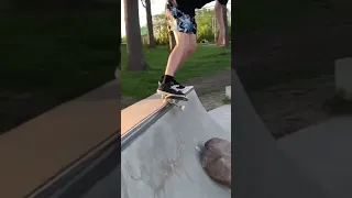 Skater vs rock