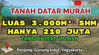 TANAH MURAH DI PONJONG GUNUNGKIDUL VIEW SAWAH LUAS 3000M² SHM DIJUAL HANYA 210 JUTA SAJA