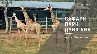 Сафари-парк Дуншань в Хайкоу. Хайнань. Китай