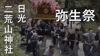 満開の桜と弥生祭 Mid-April:Nikko Yayoi Festival